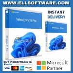 {Windows 11 pro professional license key}